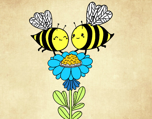 Pareja de abejas