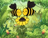 Pareja de abejas