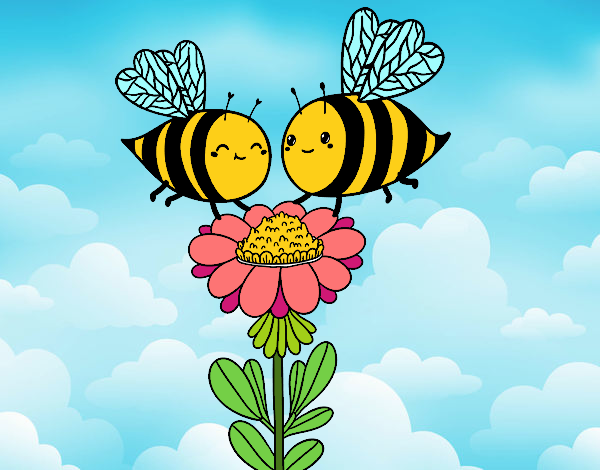 Pareja de abejas