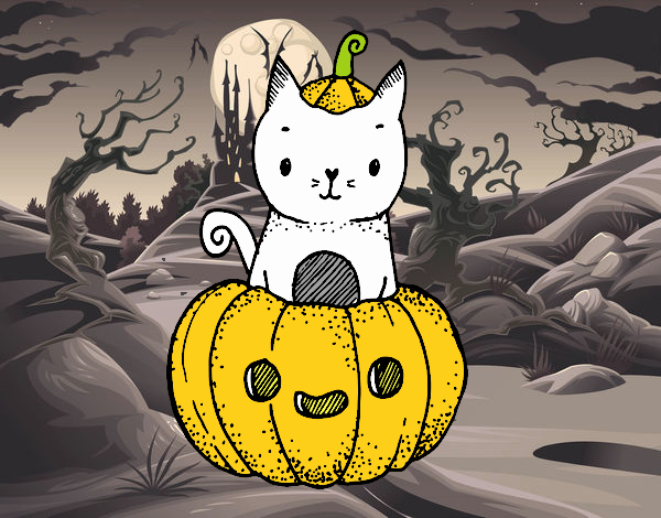 Un gatito de Halloween