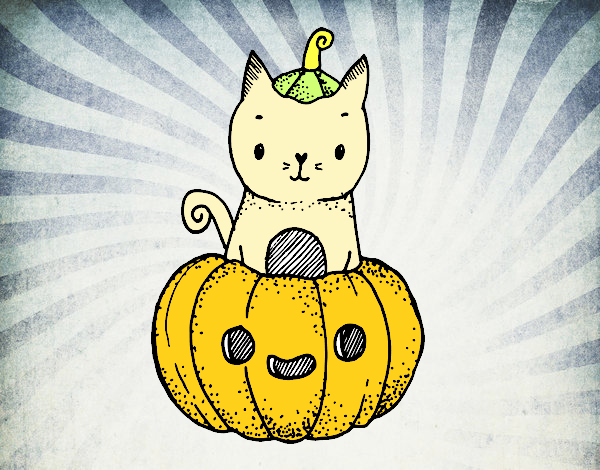 Un gatito de Halloween