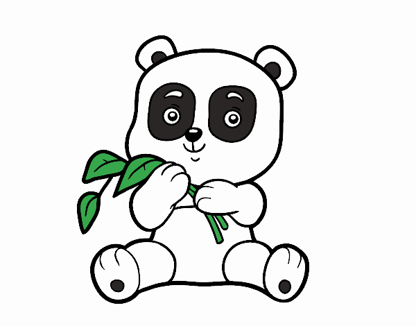 Un oso panda