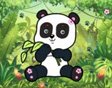 Un oso panda