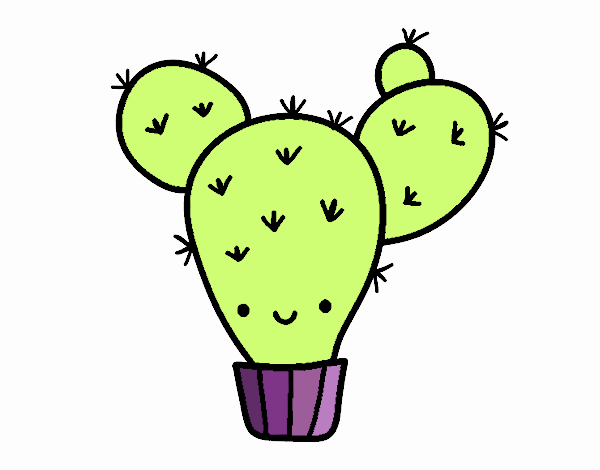 Cactus nopal