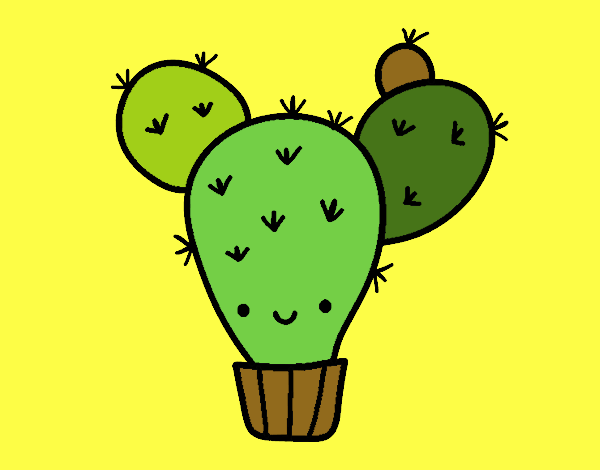 Cactus nopal