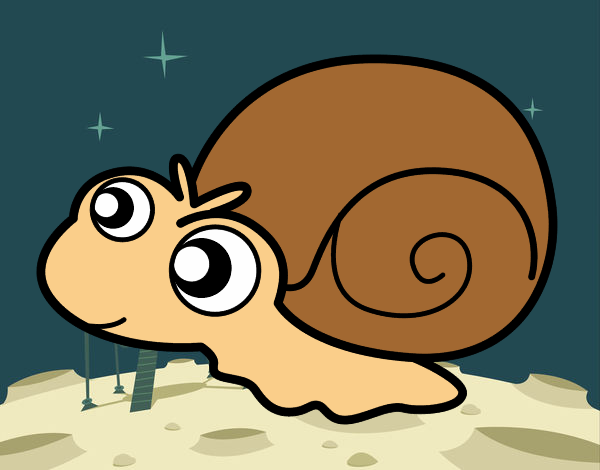 Caracol bebé