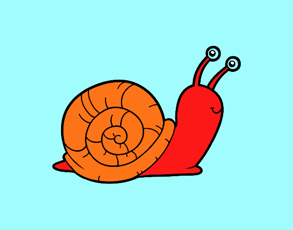 El caracol