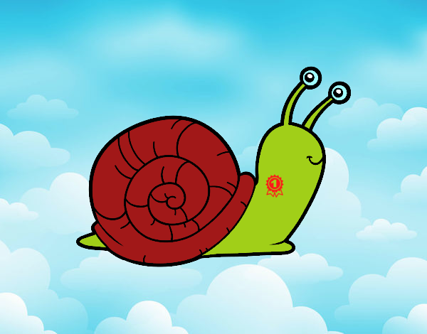 PRIMER CARACOL EN LLEGAR AL CIELOO