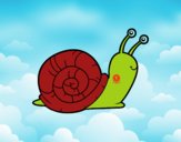 El caracol