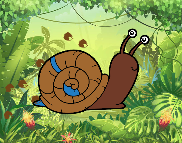 El caracol