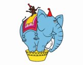 Elefante y mono de circo