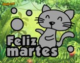 Feliz martes