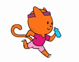 Gato runner