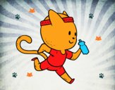 Gato runner