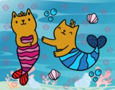 Gatos sirena