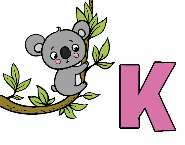 K de Koala