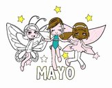 Mayo