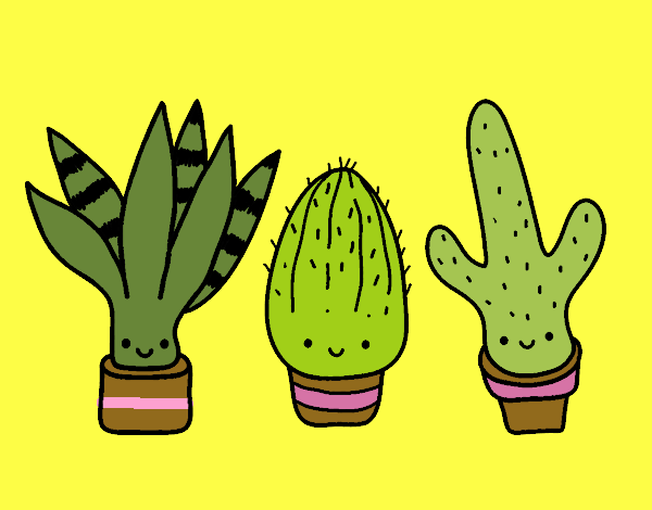 Mini cactus