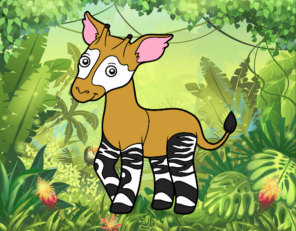 Okapi