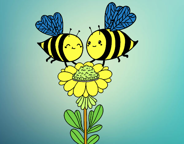 Pareja de abejas