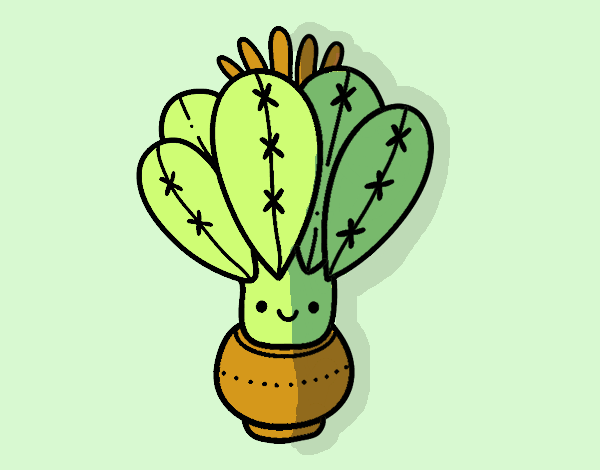 Un cactus con flor