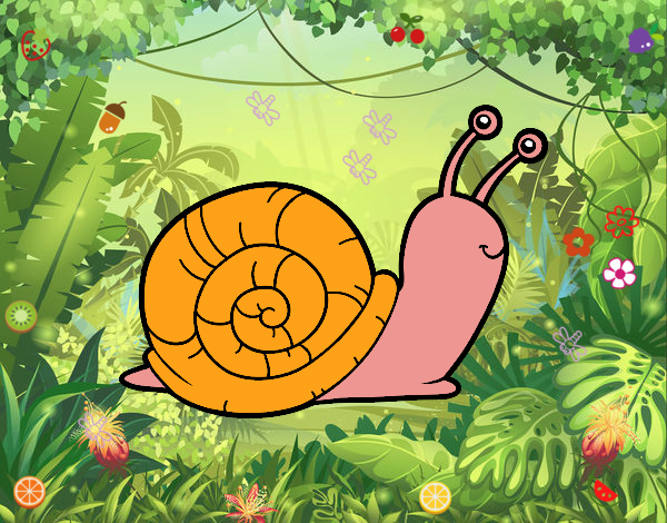 Un caracol