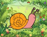 Un caracol