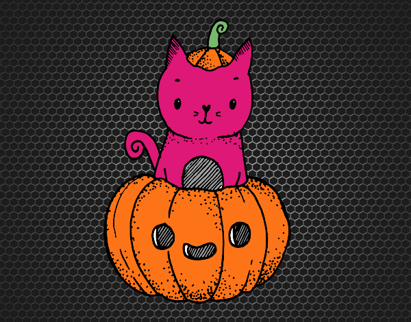 Un gatito de Halloween