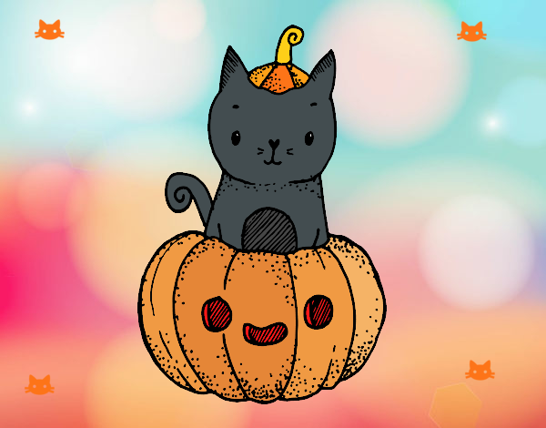 Un gatito de Halloween