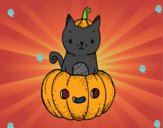 Un gatito de Halloween