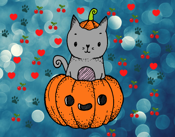 Un gatito de Halloween