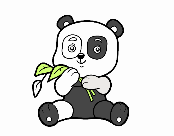 Un oso panda