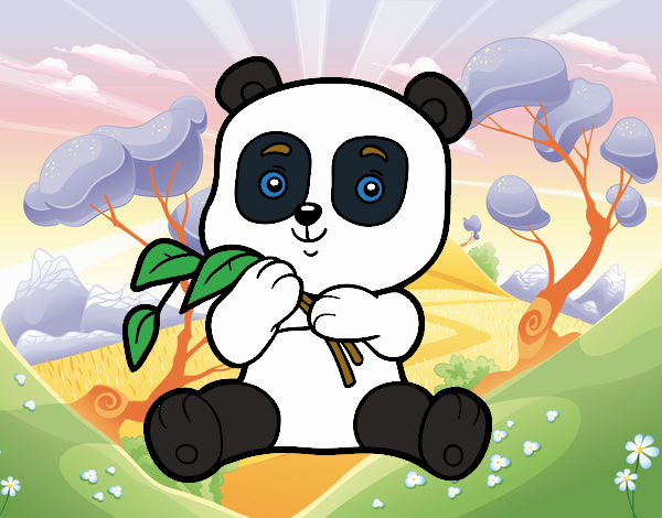 bebe panda