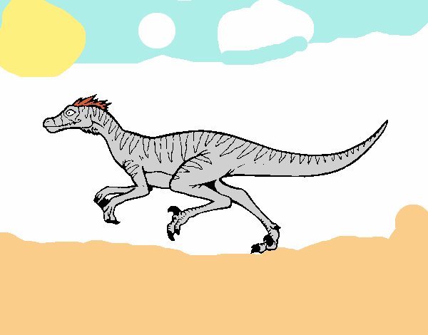 Velociraptor