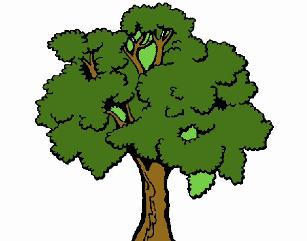 Árbol 1