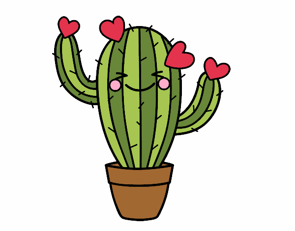 cactus corazon