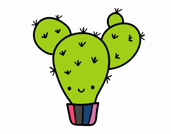 Cactus nopal