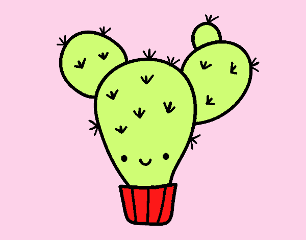 Cactus nopal