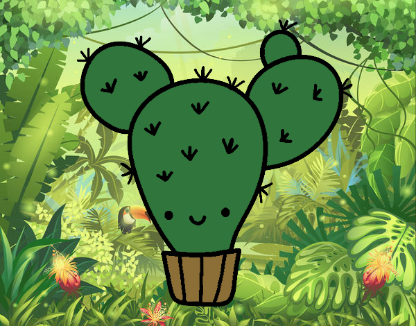 cactus