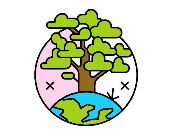 Circulo árbol 