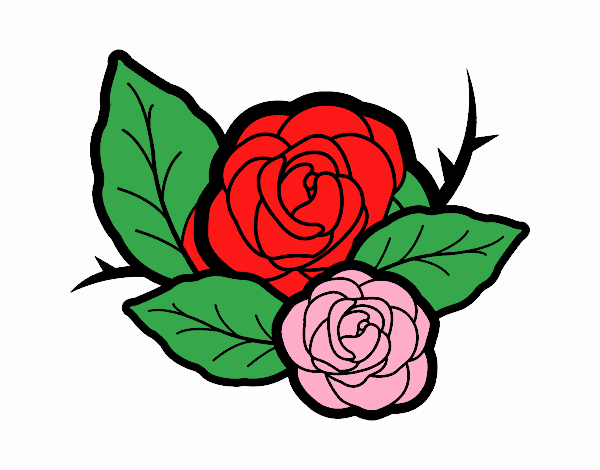 Dos rosas