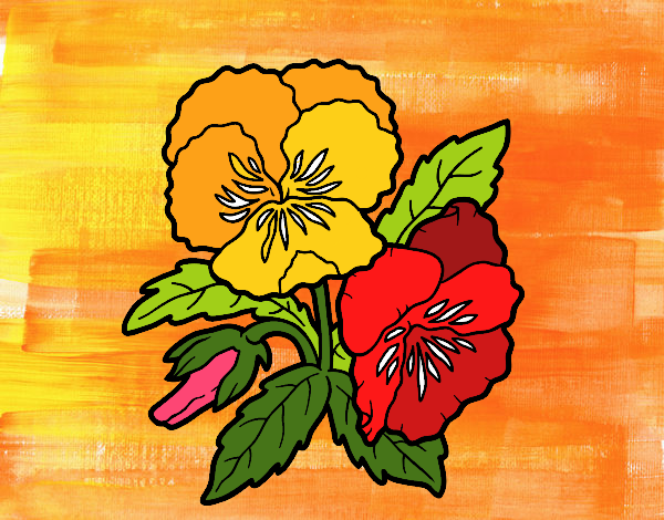 Dibujo de Flor de pensamiento pintado por en  el día 12-10-20 a  las 03:17:42. Imprime, pinta o colorea tus propios dibujos!