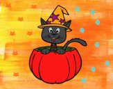 Gatito de Halloween