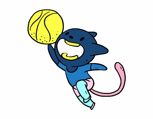 Gato jugando a baloncesto