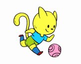 Gato jugando a fútbol