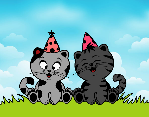 Gatos de cumpleaños