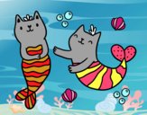 Gatos sirena