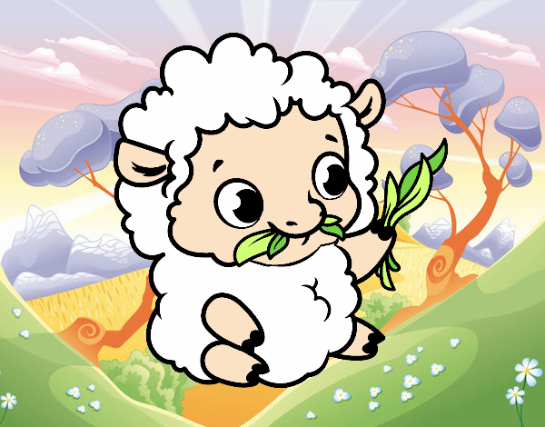   (❁´◡`❁)sheep( ❁´◡`❁)