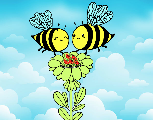 Pareja de abejas