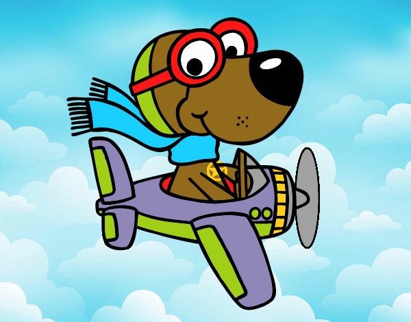 Perro piloto